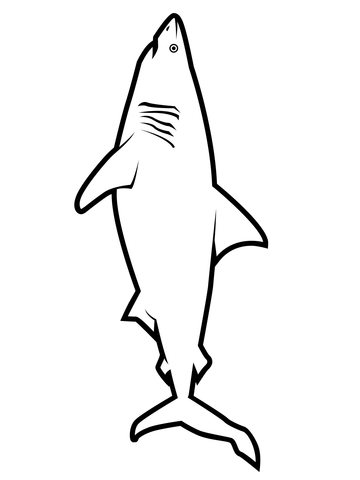 Realistic Great White Shark Coloring Page